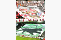 Erlebnis Fußball 33 Mängelexemplar