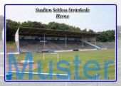 Stadion Schloß Strünkede