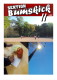 Sektion Bumskick 2 Sektion Bumskick 2