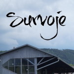 Survoje 6