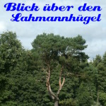Blick über den Lahmannhügel 24