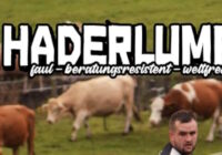 Cover von Der Haderlump 7
